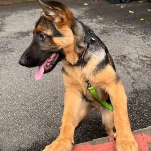 Meet your Posher, Mark